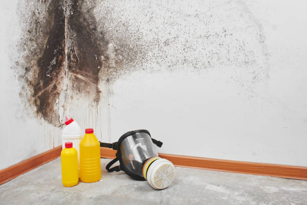 Best Mold Remediation Experts  in Orfordville, WI