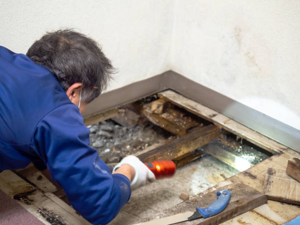 Best Mold Inspection  in Orfordville, WI