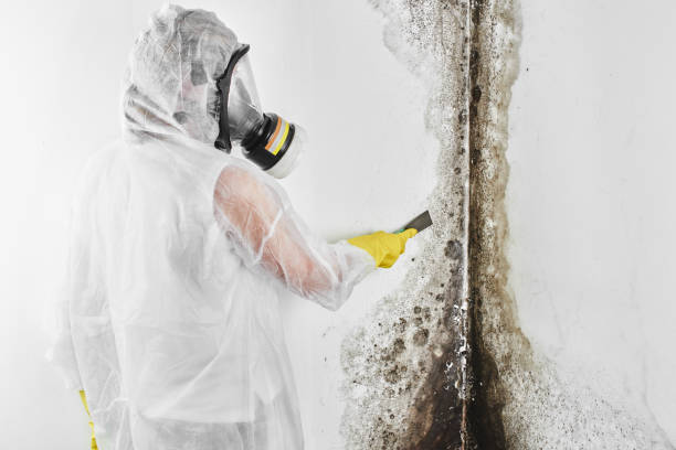 Best Crawl Space Mold Removal  in Orfordville, WI