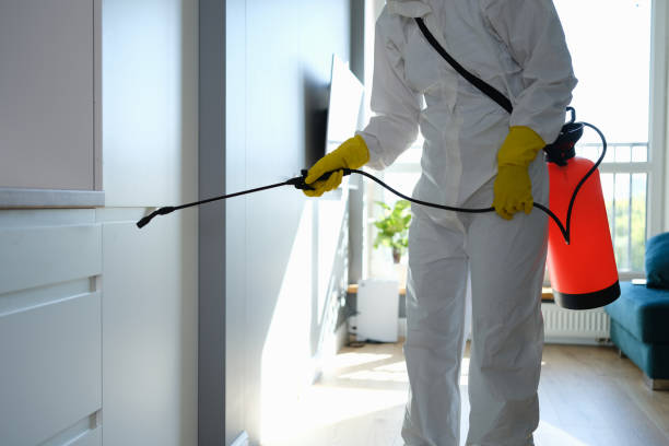 Reliable Orfordville, WI Mold Removal Solutions