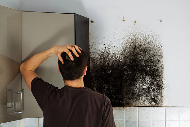 Mold Testing and Removal in Orfordville, WI